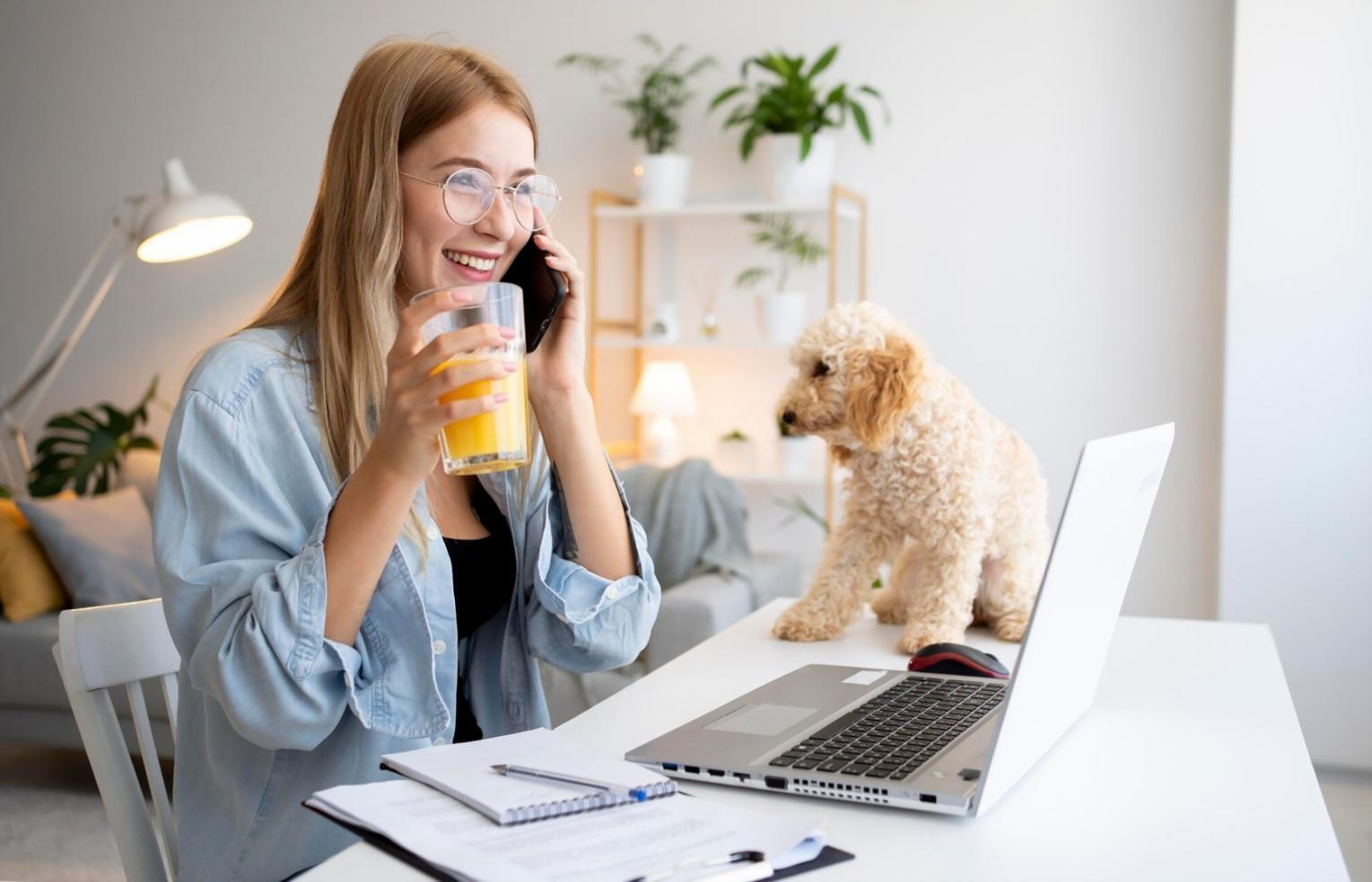 SEO içerik stratejisi ve dijital pazarlama çalışması